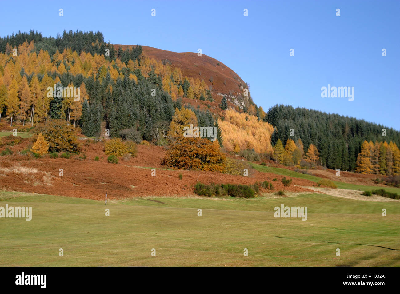 Jouer au golf avec un fond de couleurs automnales vives en Ecosse s belle Ochill hills Stirlingshire Banque D'Images