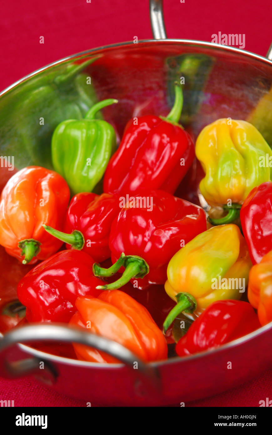 Piments Habanero colorés (Capsicum chinense) dans un bol. Banque D'Images