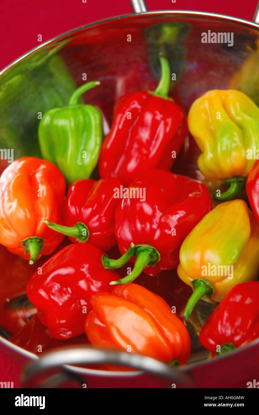 Piment Habanero (Capsicum chinense) dans un bol Banque D'Images