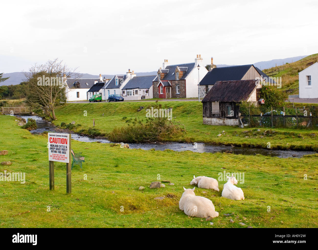 Des moutons paissant dans village sur des terres libres Banque D'Images