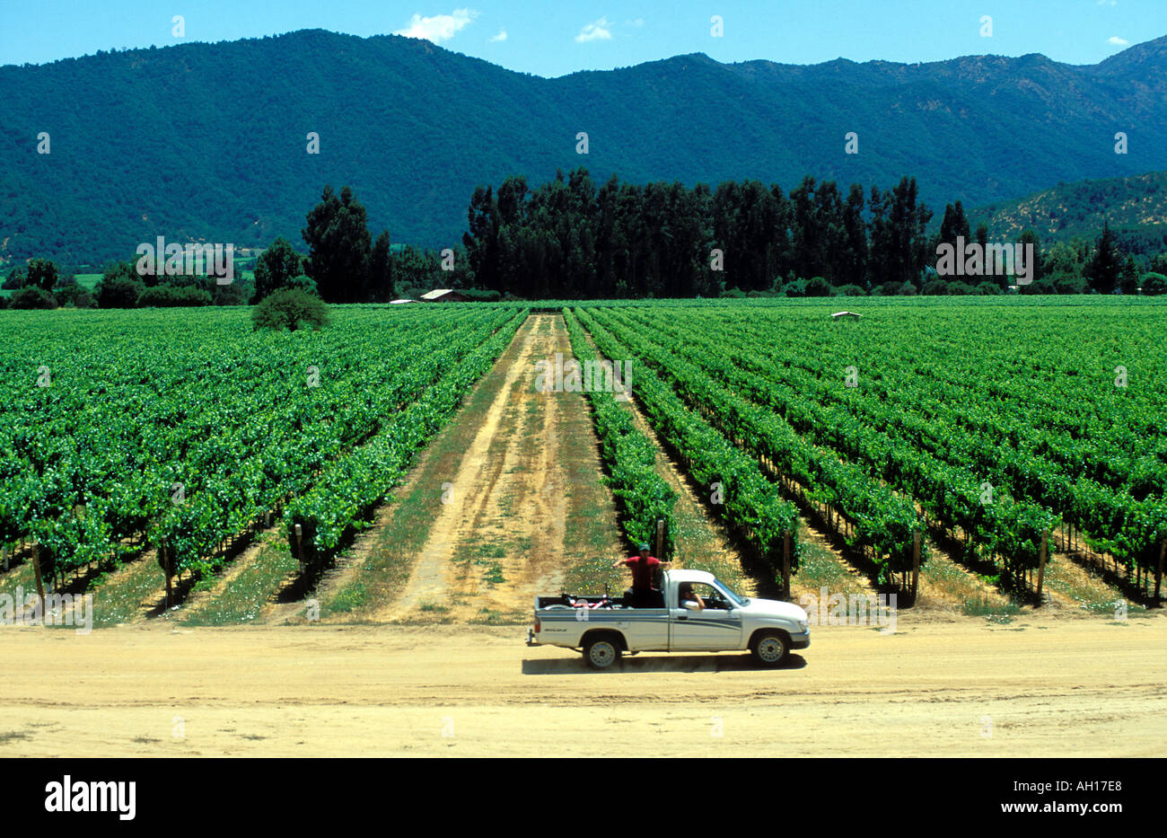 Amérique du Sud Chili Santiago Veramonte wineries un de ceux qui se trouve dans la périphérie de Santiago Banque D'Images