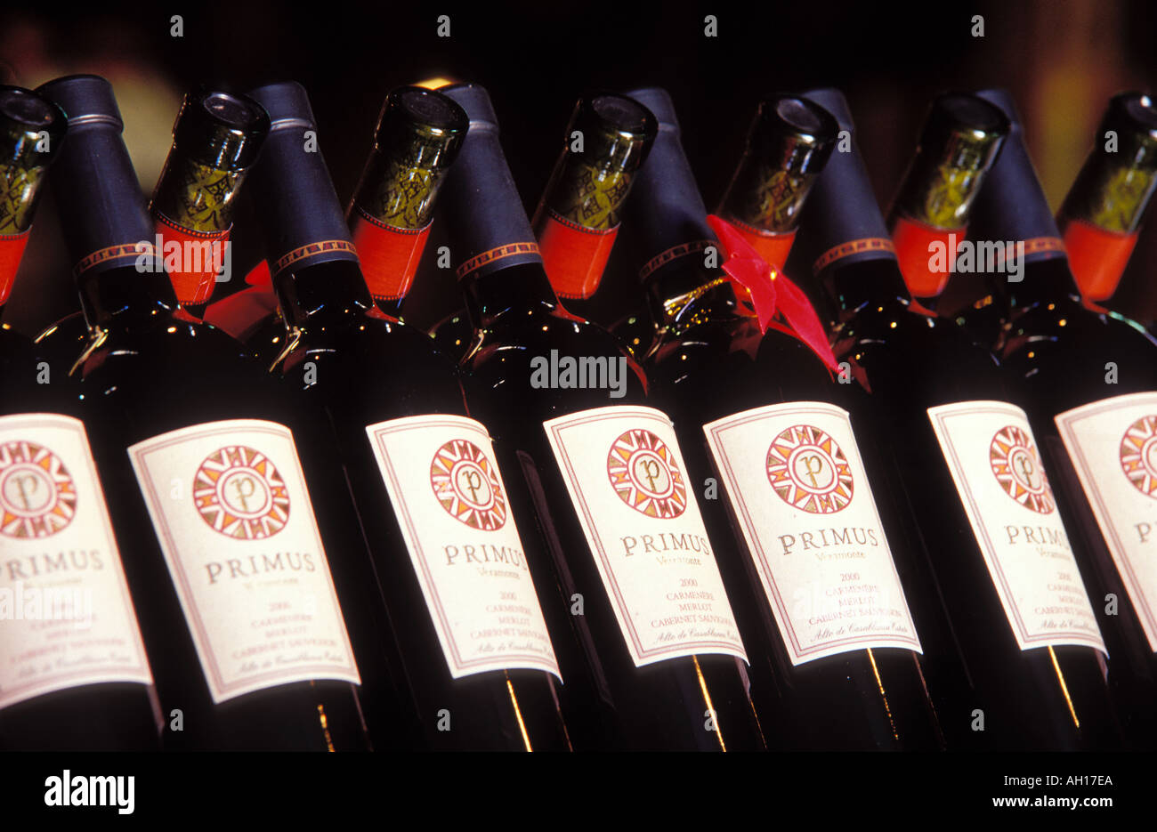 Bouteilles de vin produit à la caves Veramonte Banque D'Images