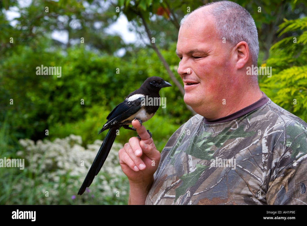 Homme avec Magpie Pica pica sur le doigt en lui parlant du Bedfordshire potton Banque D'Images