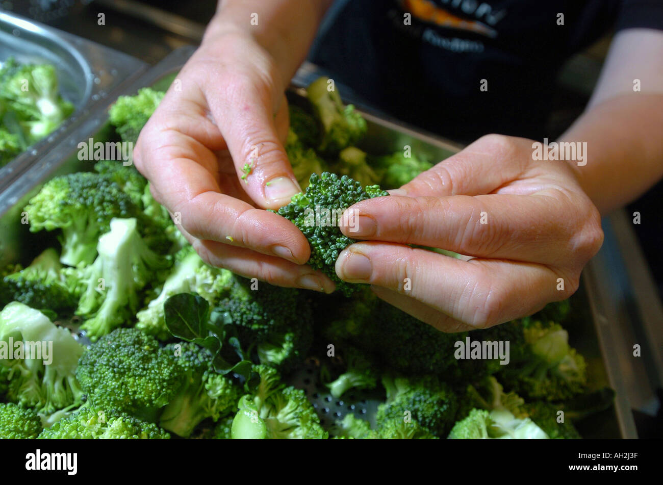 Un chef prépare des fleurons de brocoli. Banque D'Images