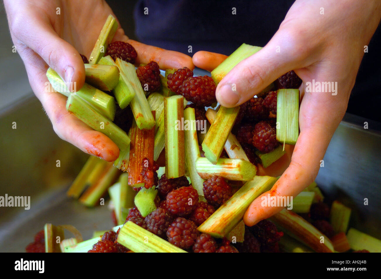 Les framboises et la rhubarbe en préparation Banque D'Images