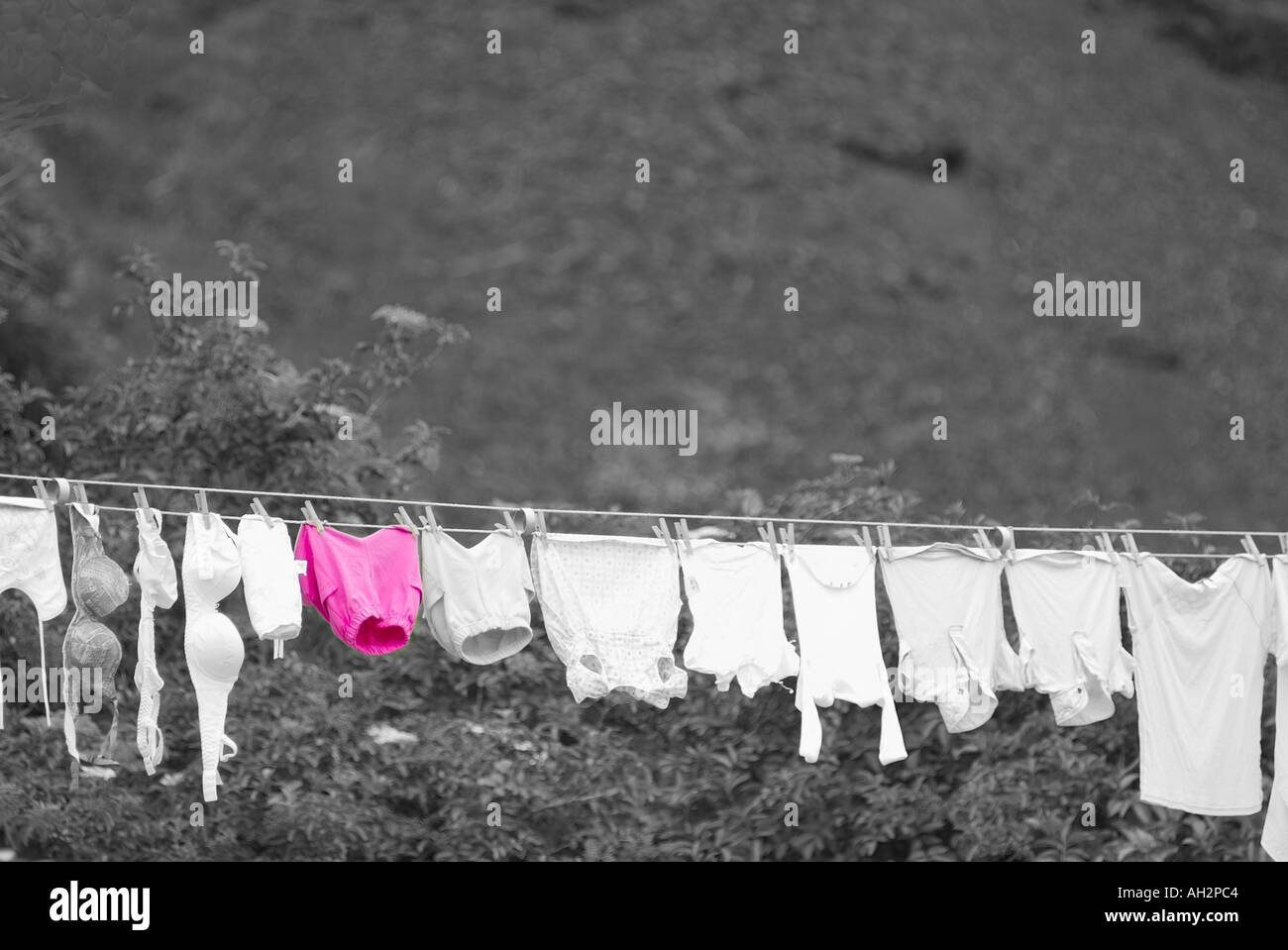 Lavage Banque D'Images