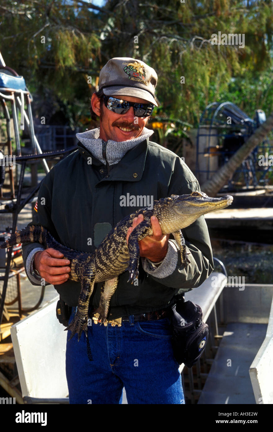 Alligator Farm, Alligator mississippiensis, holding, un alligator, alligators, de Coopertown Coopertown, Everglades, Florida Banque D'Images