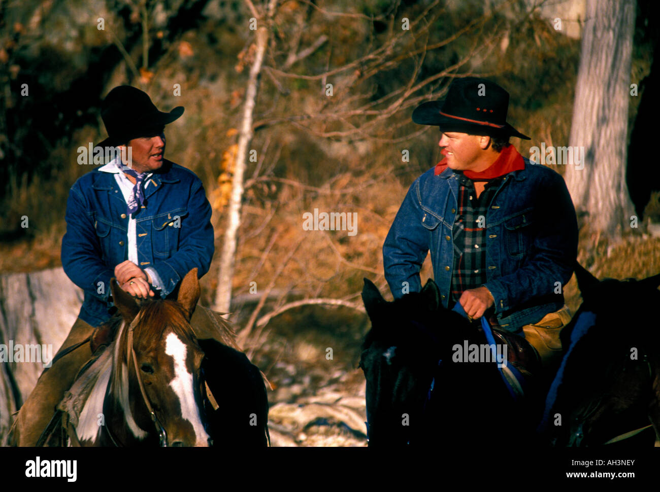 Cowboys à cheval, cow-boys, cheval, équitation, montagne, ville de Napoli, Napoli, Napoli, County, Texas, United States, Amérique du Nord Banque D'Images