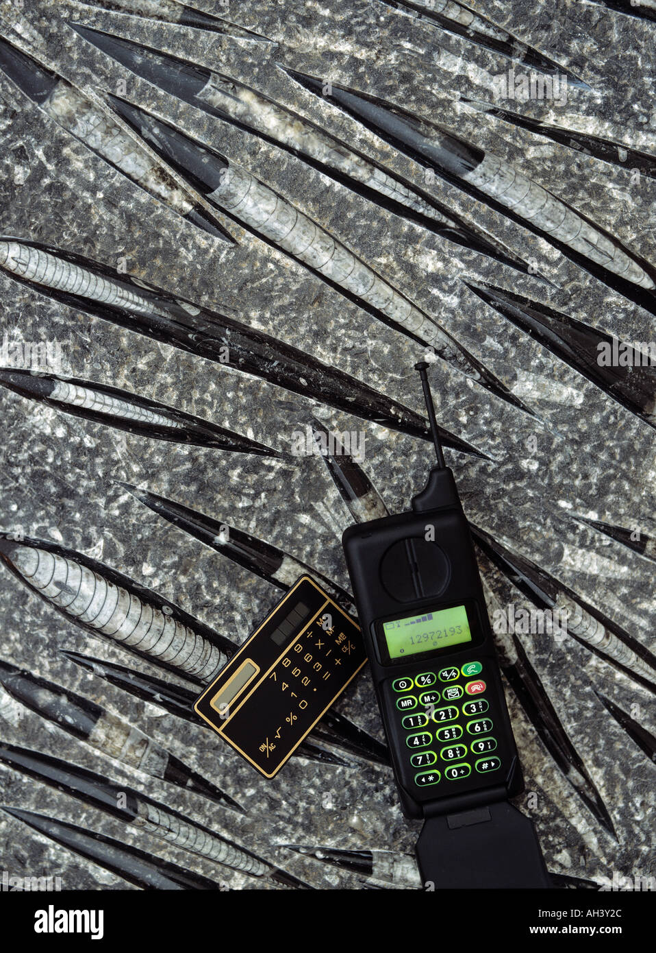 Calculatrice et d'un téléphone cellulaire sur une dalle de fossiles de mollusques Orthoceras 350 à 500 millions d'années Banque D'Images