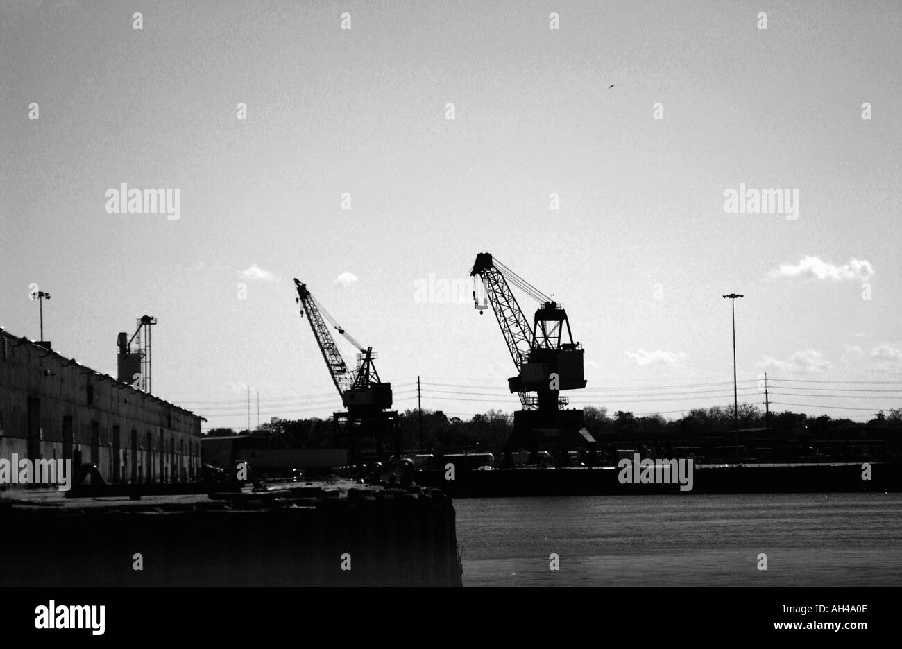 Deux grues qui se profile dans l'après-midi noir et blanc USA Banque D'Images