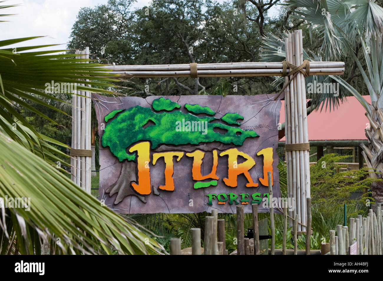 Forêt de l'Ituri signe en Lwry Park Zoo à Tampa Florida Fl USA U S nord-américain Banque D'Images