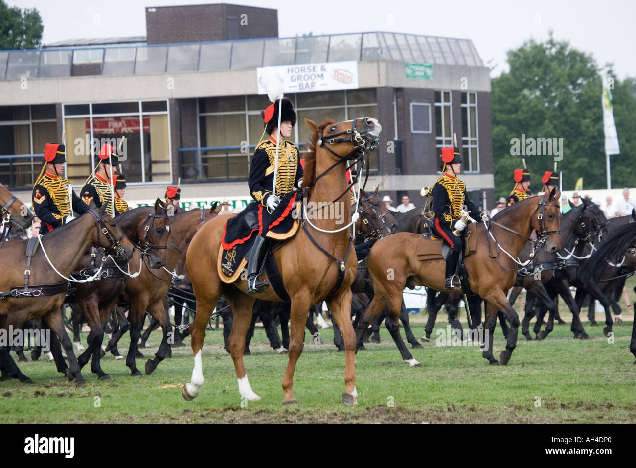 Les Kings Royal Horse Artillery afficher en grand Ring Stoneleigh Royal Show UK Banque D'Images