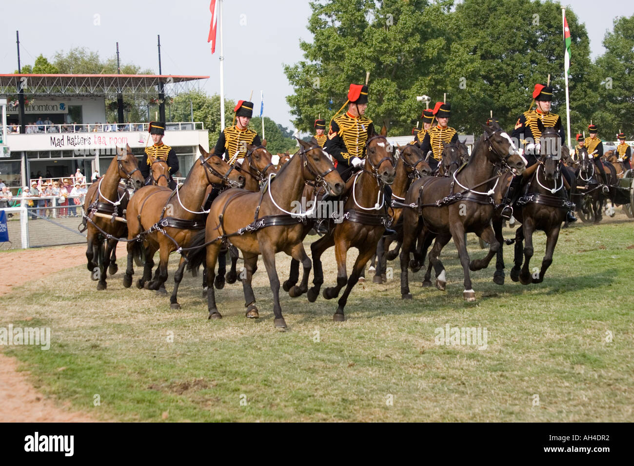 Les Kings Royal Horse Artillery afficher en grand Ring Stoneleigh Royal Show UK Banque D'Images