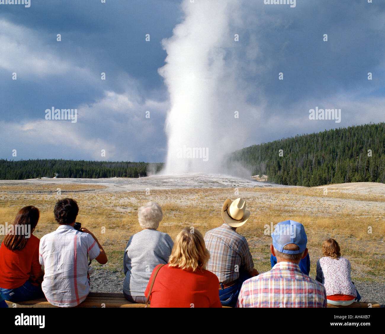 USA - WYOMING : Old Faithful Geyser Yellowstone National Park Banque D'Images