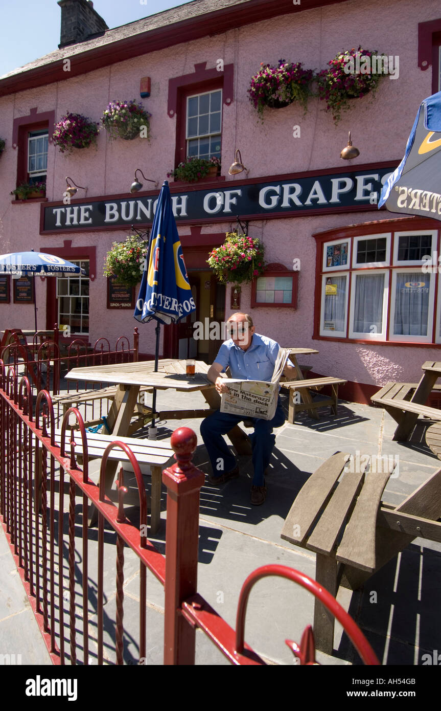 La lecture de l'homme papier en dehors de l'grappe de raisin pub, Newcastle Emlyn Carmarthenshire Cymru Wales UK Banque D'Images