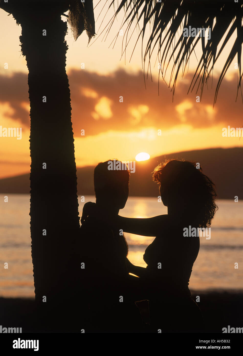 Couple romantique coucher sous palm tree Banque D'Images