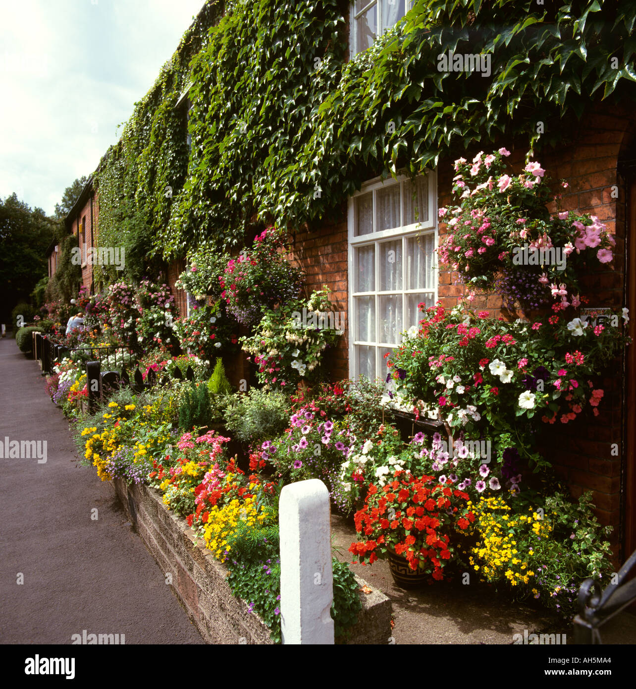 Stockport Cheshire village Cheadle avant floral jardins en Lime Grove Banque D'Images