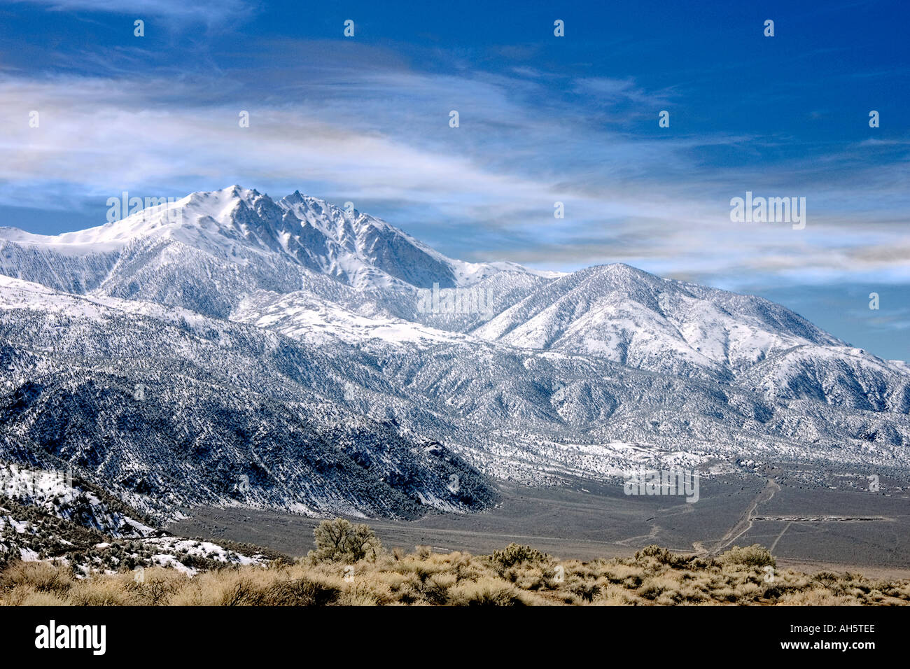 Montagnes désertiques, broussailles et sommets enneigés s'élevant au-dessus du fond de la vallée aride dans le parc national de la Vallée de la mort, en Californie. Banque D'Images