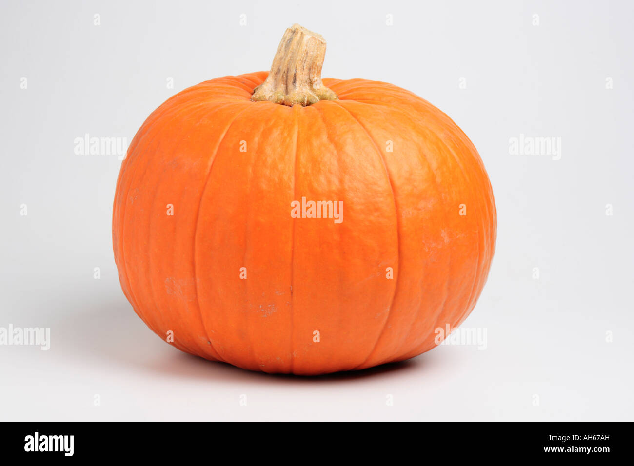 Pumpkin sur fond blanc Banque D'Images