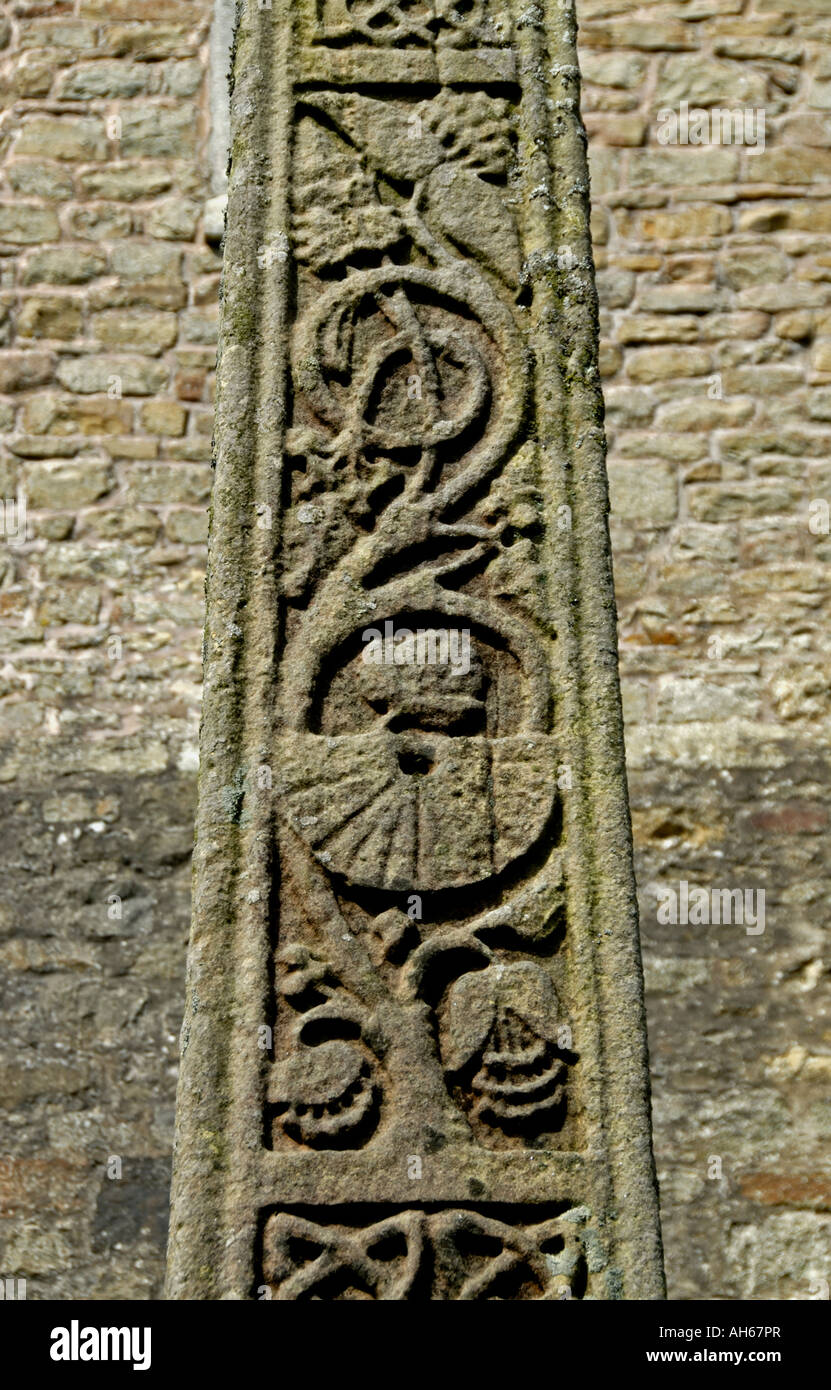 Vine faire défiler sur le côté sud de Bewcastle Cross , fin du 7 . Siècle , ( détail ) . Eglise de Saint Cuthbert . Bewcastle , Cumbria. Banque D'Images