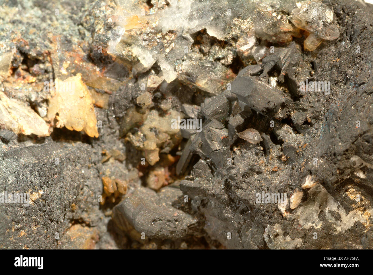 Chalcocite minéral, Levant mine, Pendeen, Saint Juste, Cornwall, Angleterre Banque D'Images