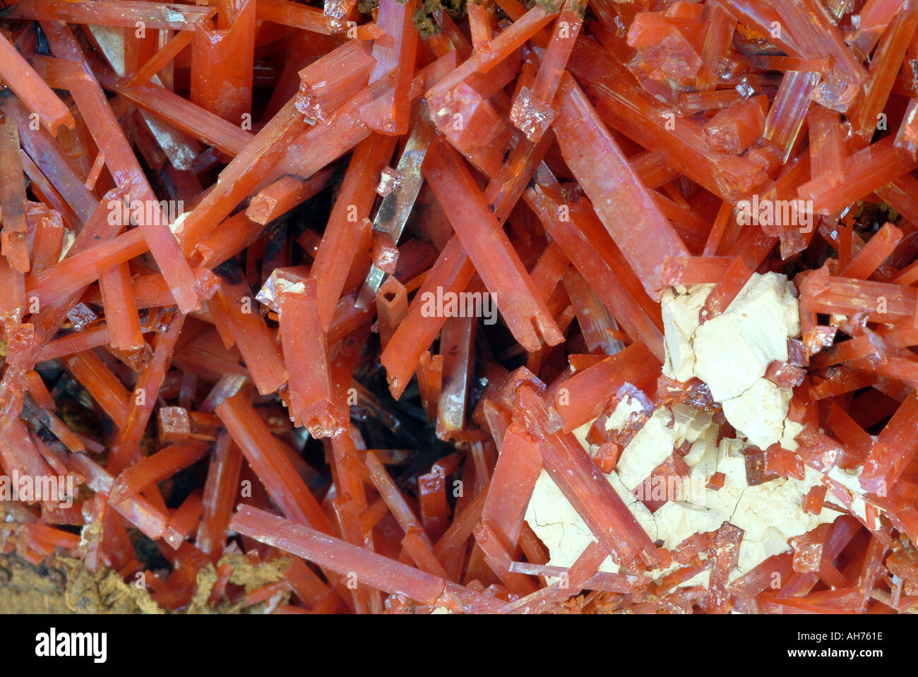 Minéral Crocoite, mine de plomb rouge, Dundas, Tasmanie, Australie Banque D'Images