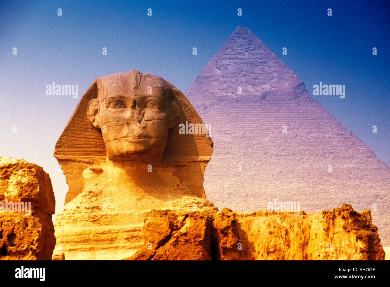 Égypte Sphinx aux Pyramides de Gizeh Banque D'Images