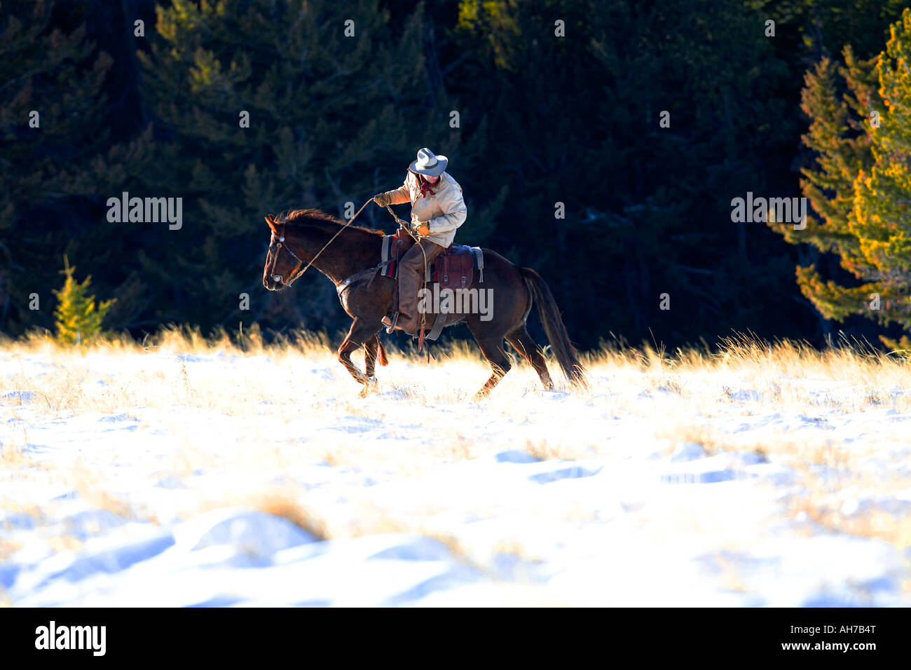 Homme mûr un cheval dans un champ couvert de neige Banque D'Images