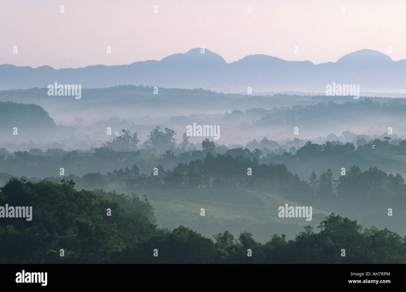 Misty en Vallée de Vinales, Cuba Banque D'Images