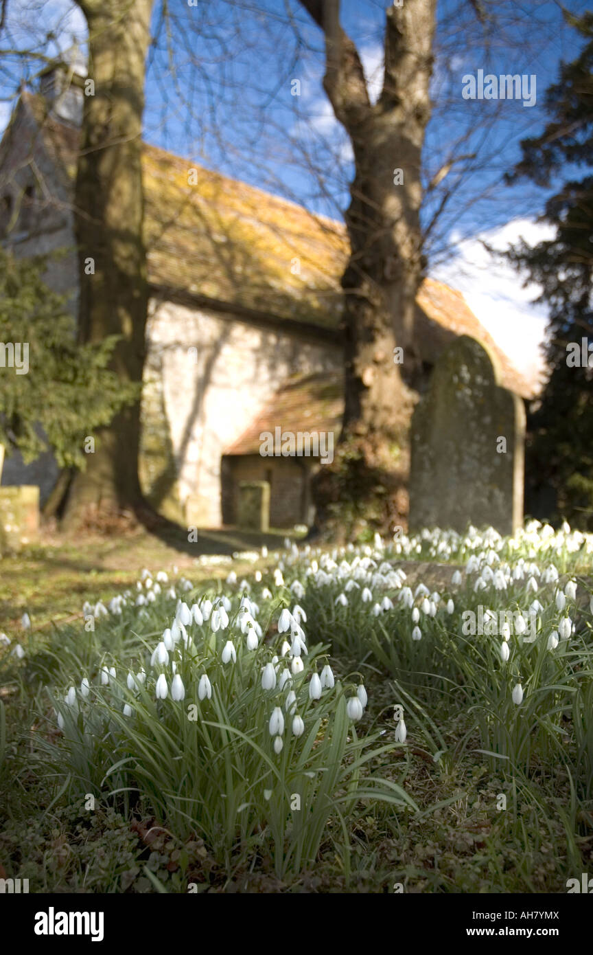 Très Vieux Village Église à Corhampton Hampshire Angleterre Banque D'Images