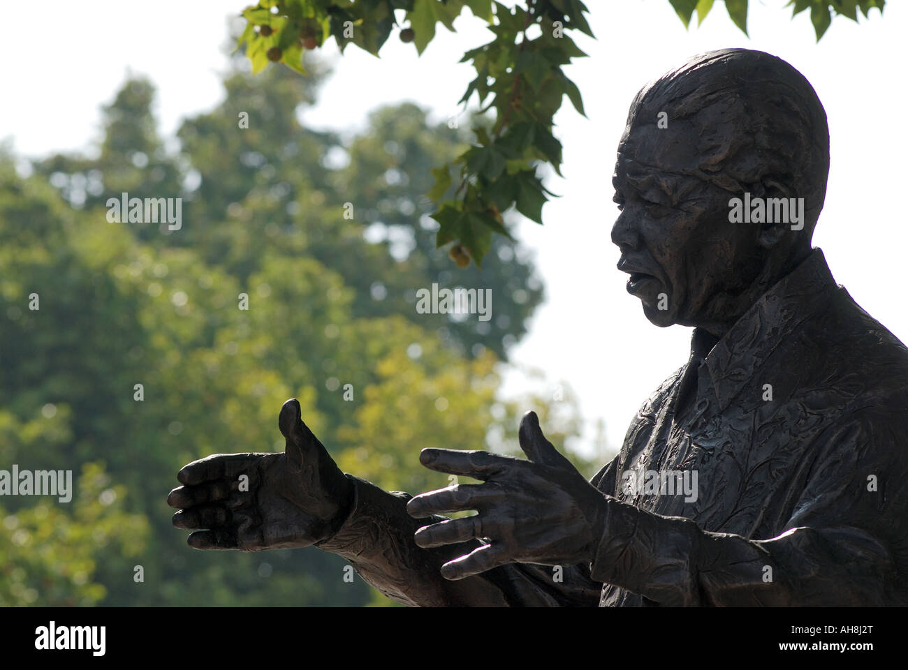 Statue de Nelson Mandela à la place du Parlement, Londres, Angleterre, Royaume-Uni Banque D'Images