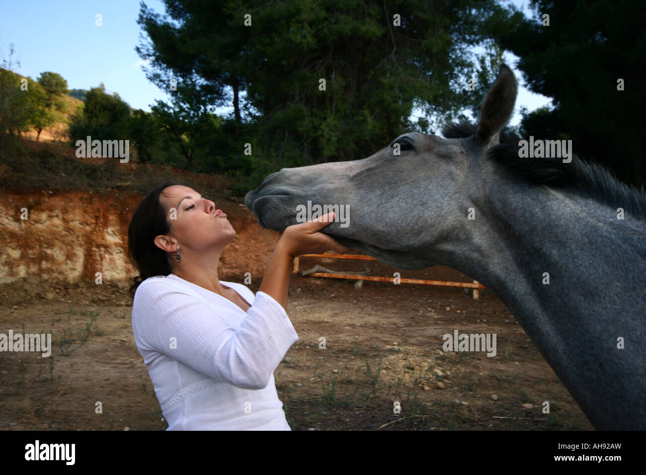 Jeune femme en caressant son cheval Banque D'Images