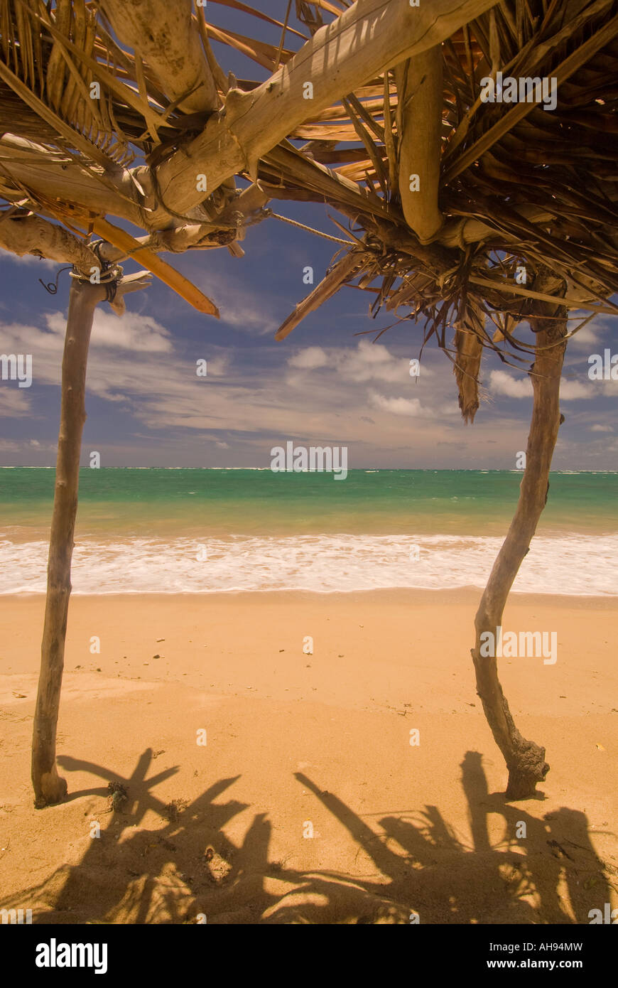 Hawaii Oahu abri à l'ombre de bambou sur une plage de sable fin le long de la rive nord de l'océan pacifique bleu Banque D'Images