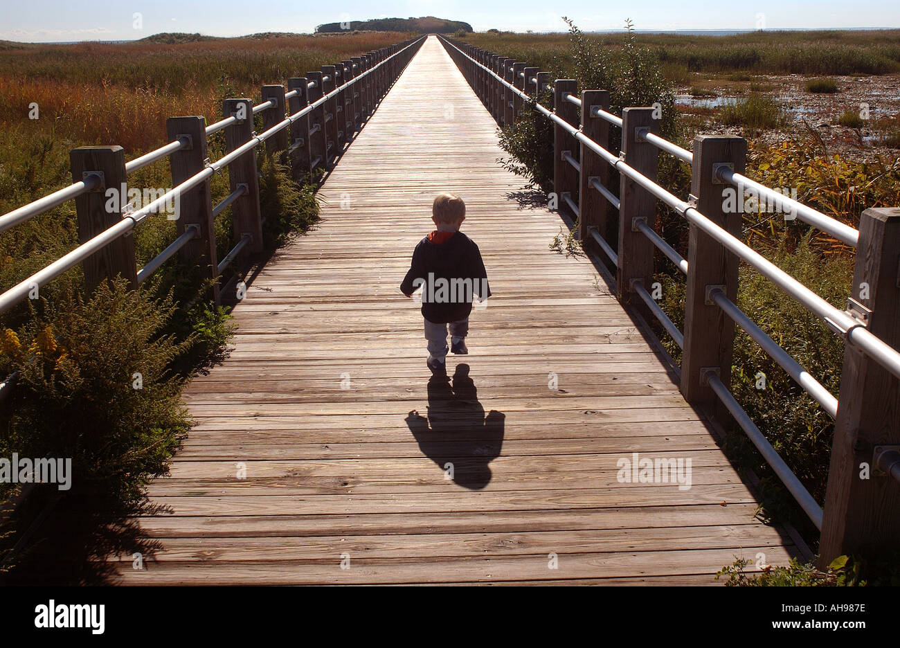 Petit garçon enfant marche sur chemin vers l'avenir de la vie Banque D'Images