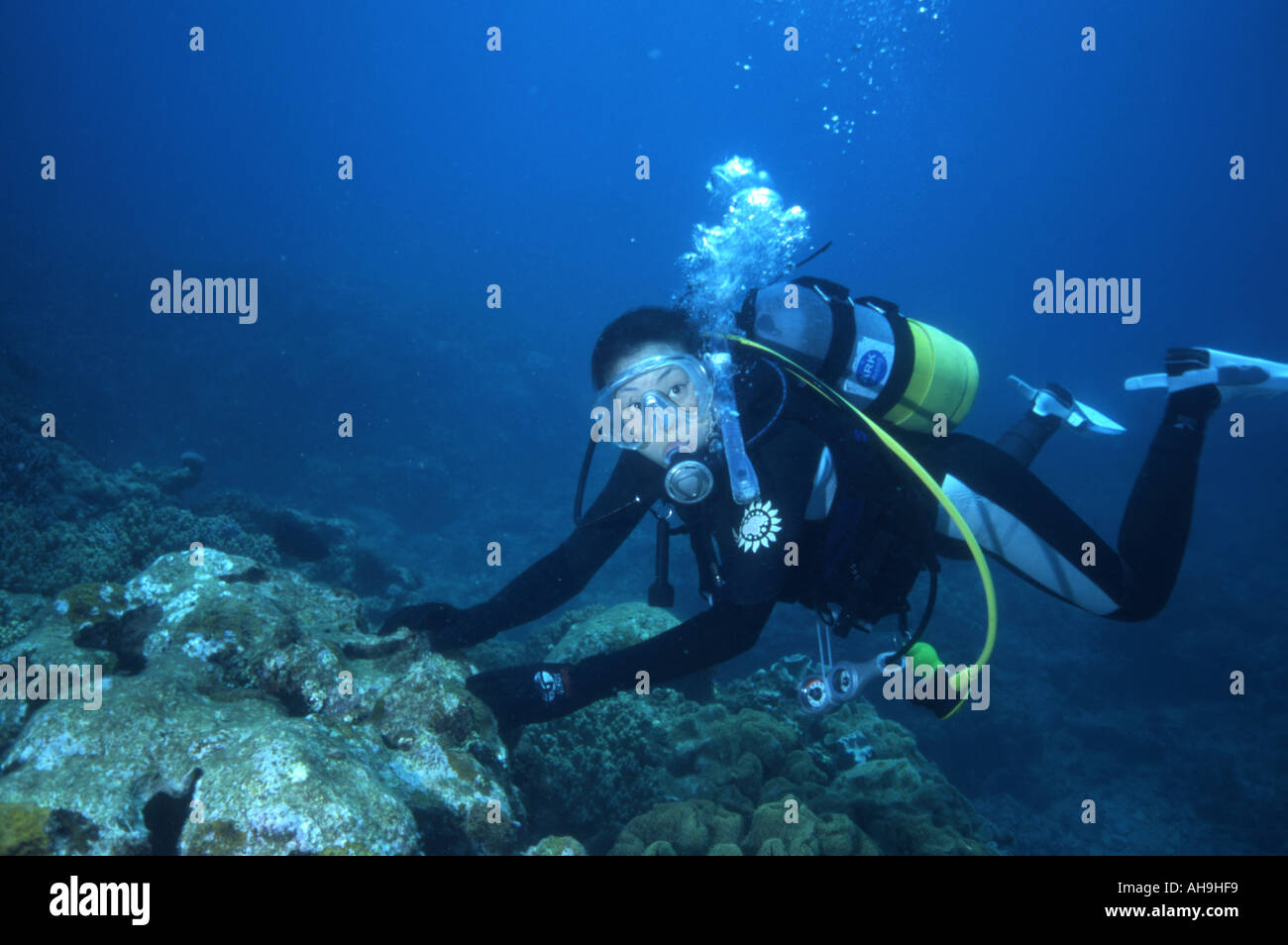Japanese girl scuba diver enquêter sur le récif à Tsunabe seawall Okinawa Japon Banque D'Images