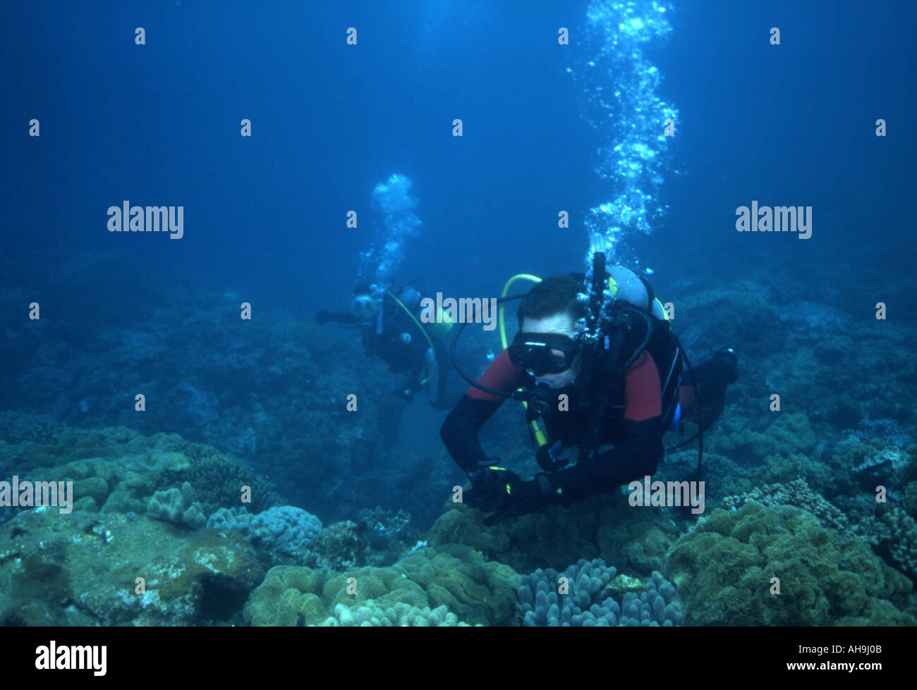 Scuba Diver fait enquête sur le récif à Tsunabe seawall Okinawa Japon Banque D'Images