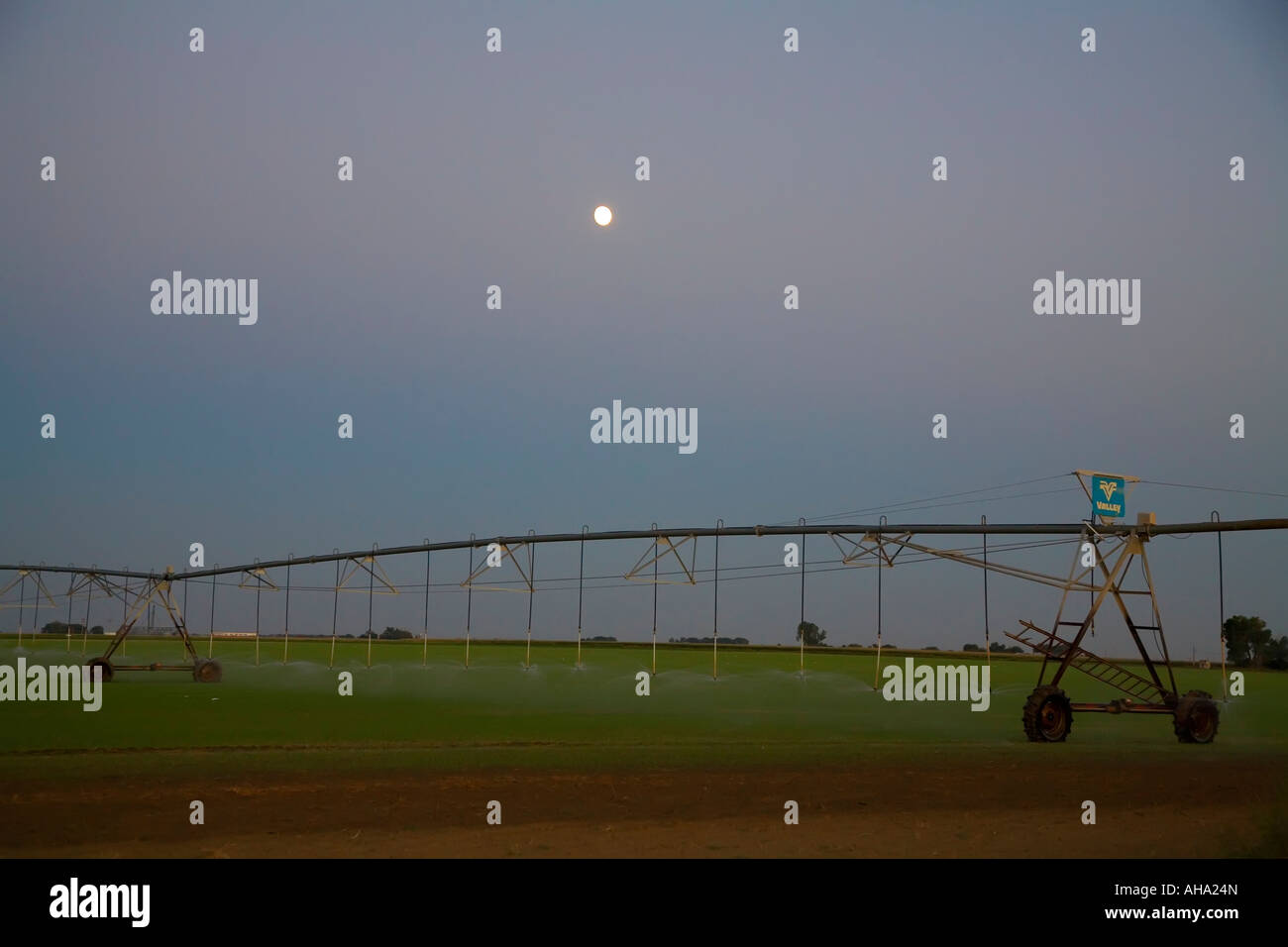 Goodrich Colorado Casiers irriguer un champ sur le Colorado prairie sous la pleine lune Banque D'Images
