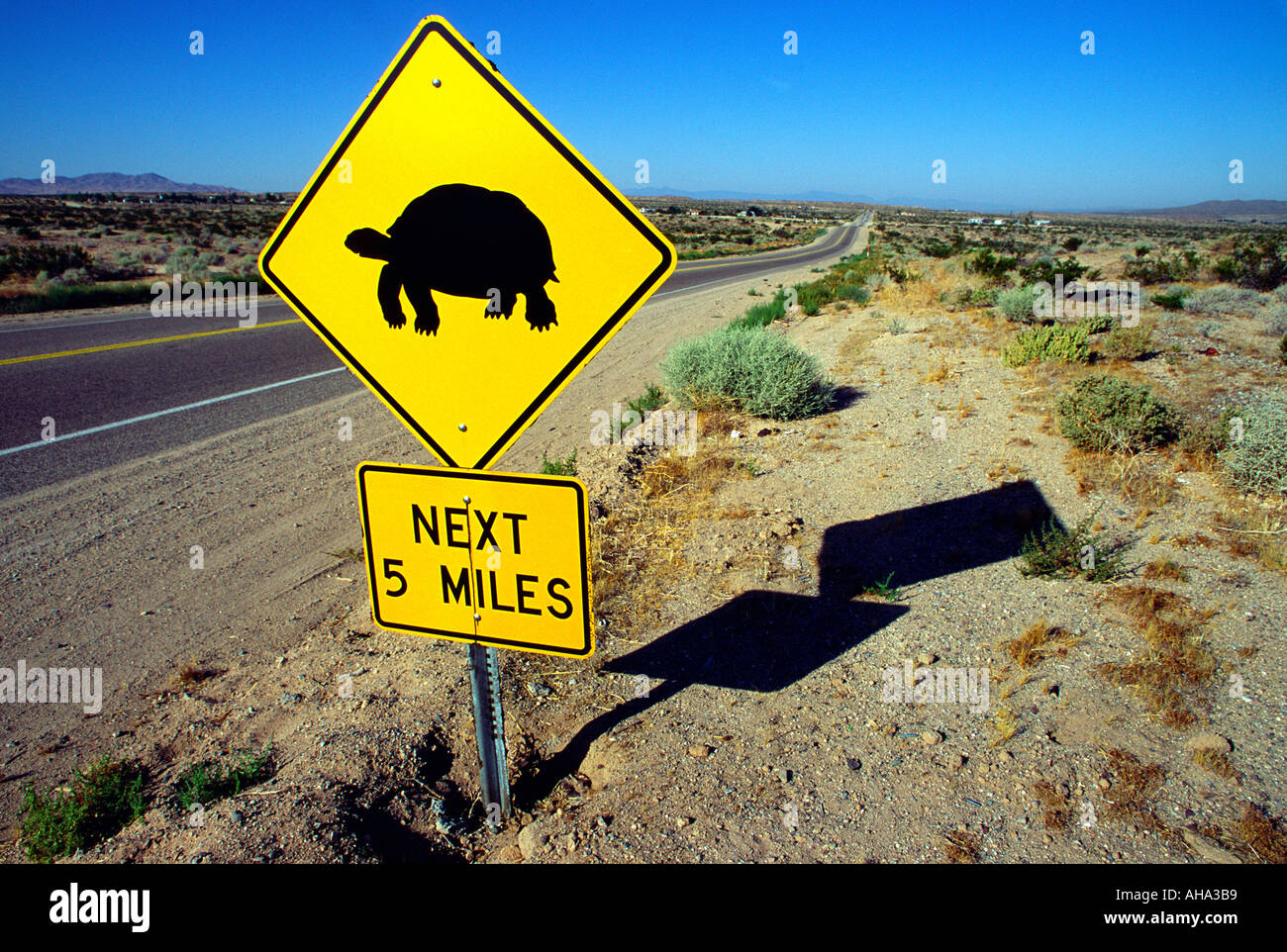 Panneau de passage à niveau, tortue du désert de Californie Banque D'Images