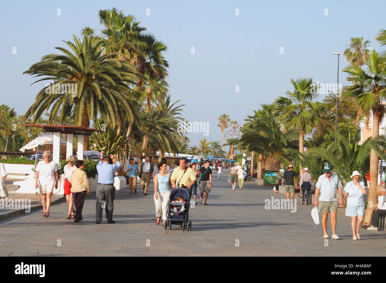 Avenida de Colon Puerto de la Cruz Tenerife Espagne Photo Stock - Alamy