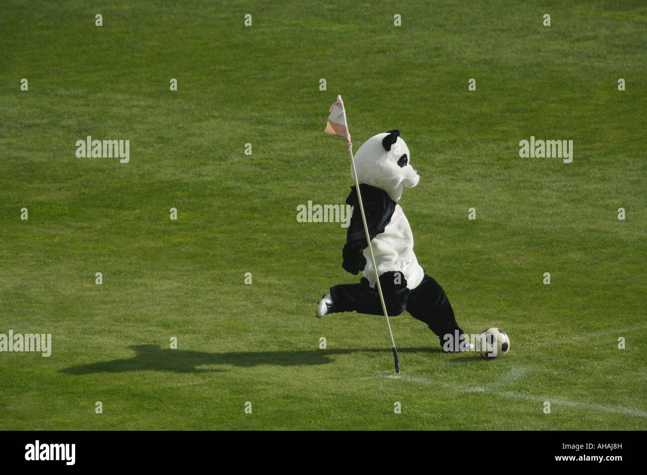 Le score.  par Maxime Banque D'Images