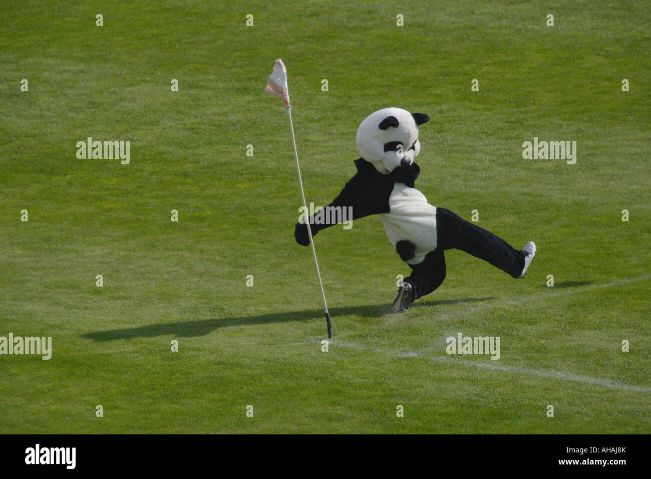 Le score.  par Maxime Banque D'Images