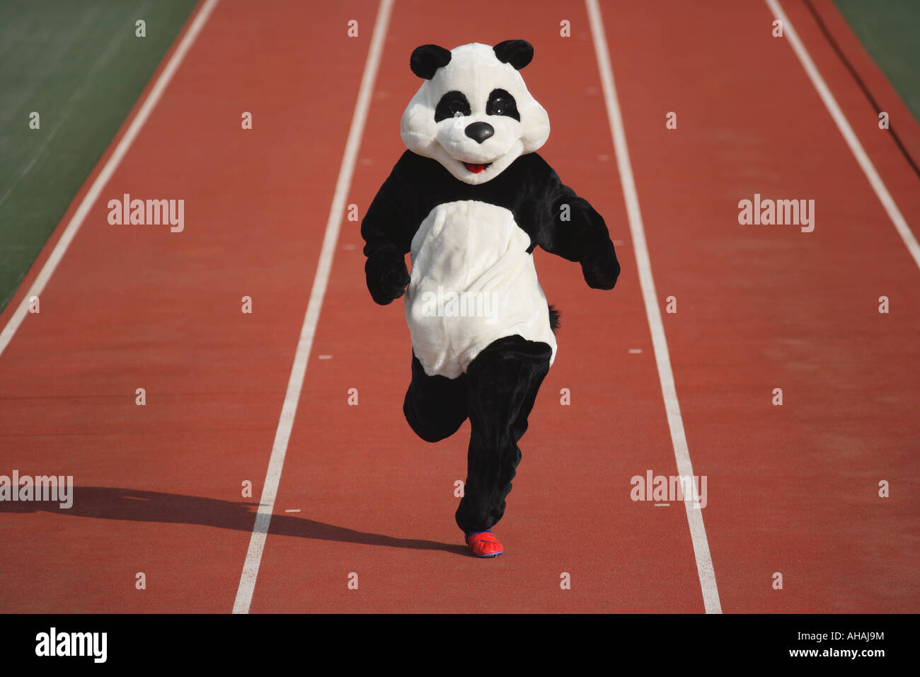 Le score.  par Maxime Banque D'Images