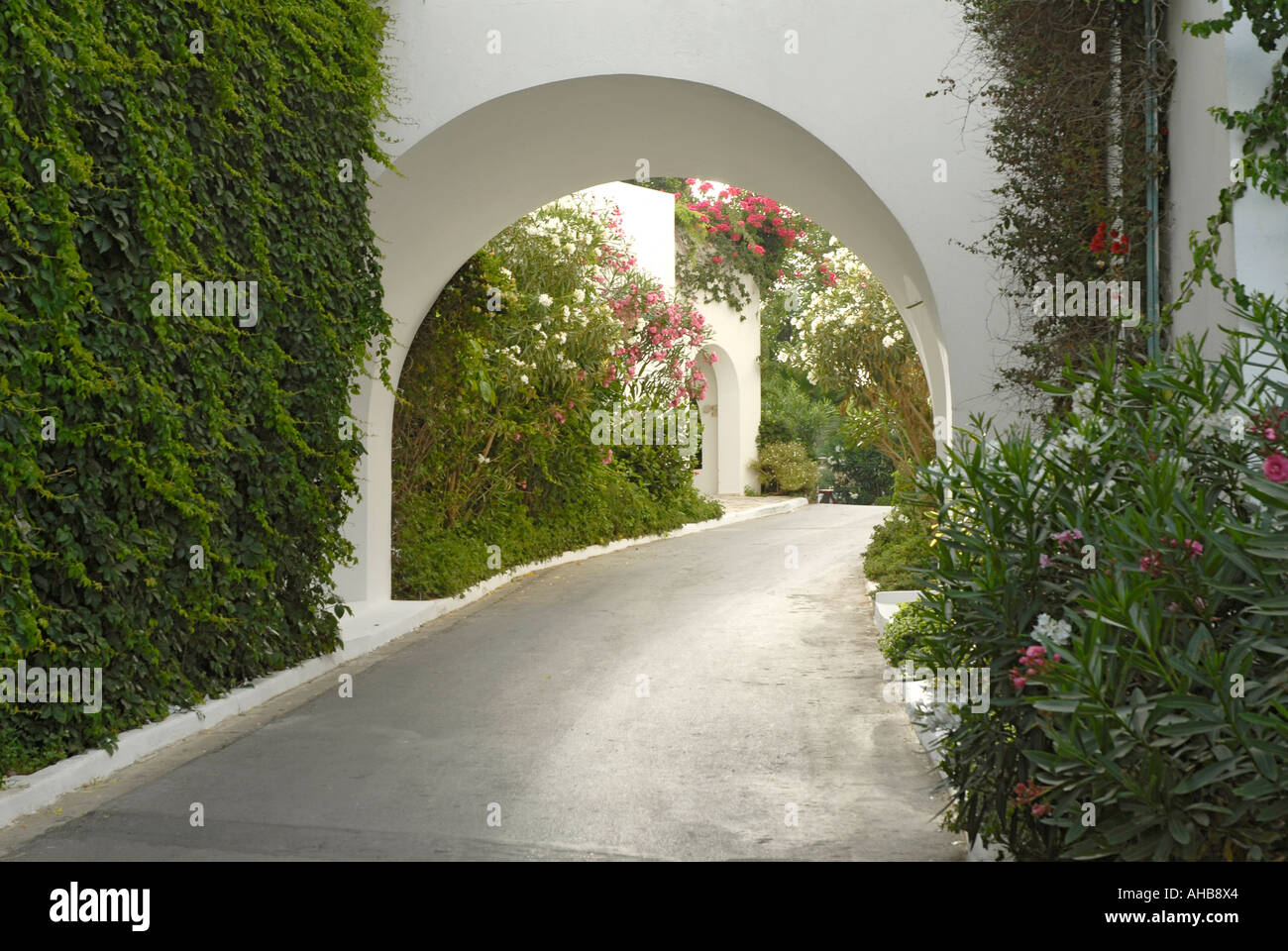 Peint en blanc arch entre un beau feuillage jardin Banque D'Images