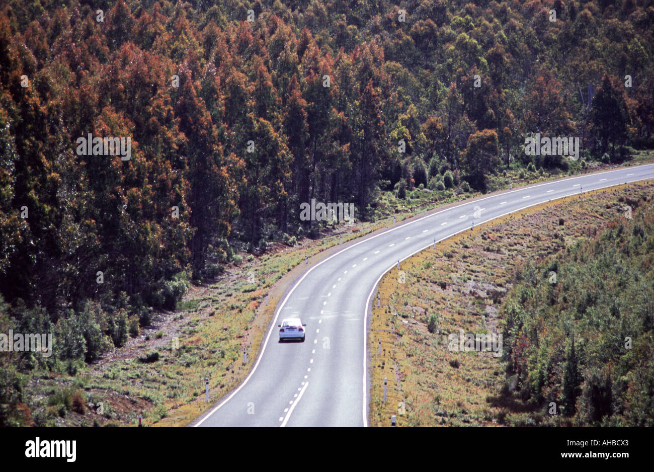 Une courbe de la route ouest de la Tasmanie en Australie Banque D'Images