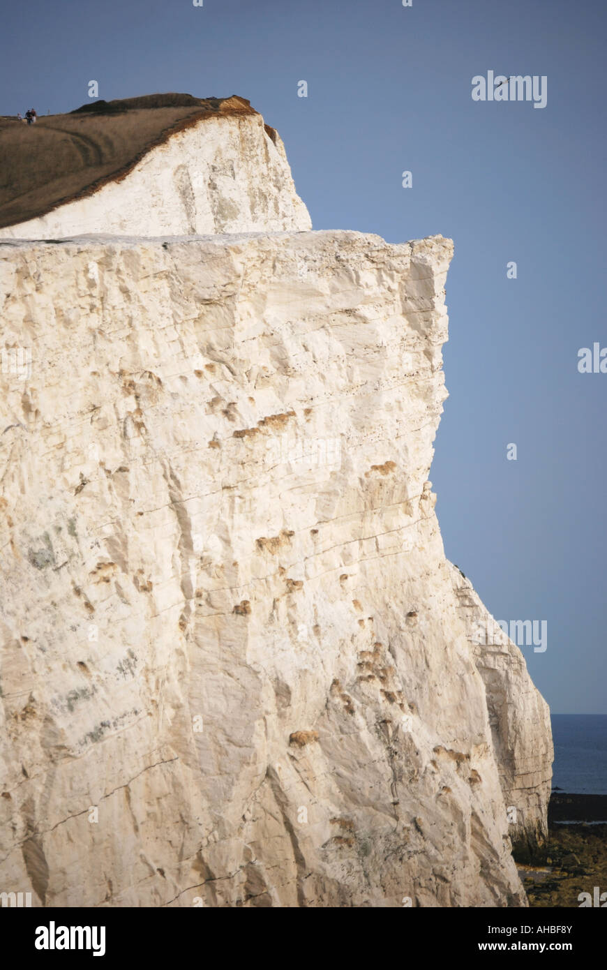 Beachy Head de Seaford, Jalhay, East Sussex, Angleterre, Royaume-Uni Banque D'Images