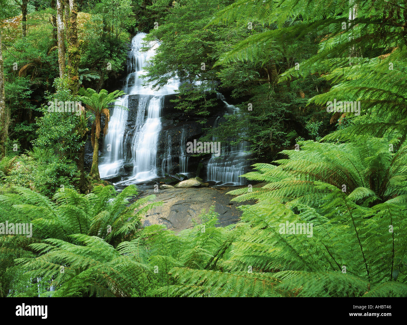 Chutes en triplet Otway Ranges sur Great Ocean Road Victoria Australie Banque D'Images