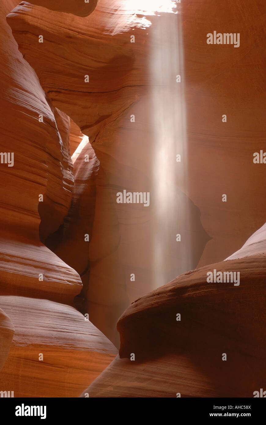 Upper Antelope Canyon - Arbre de Lumière Banque D'Images