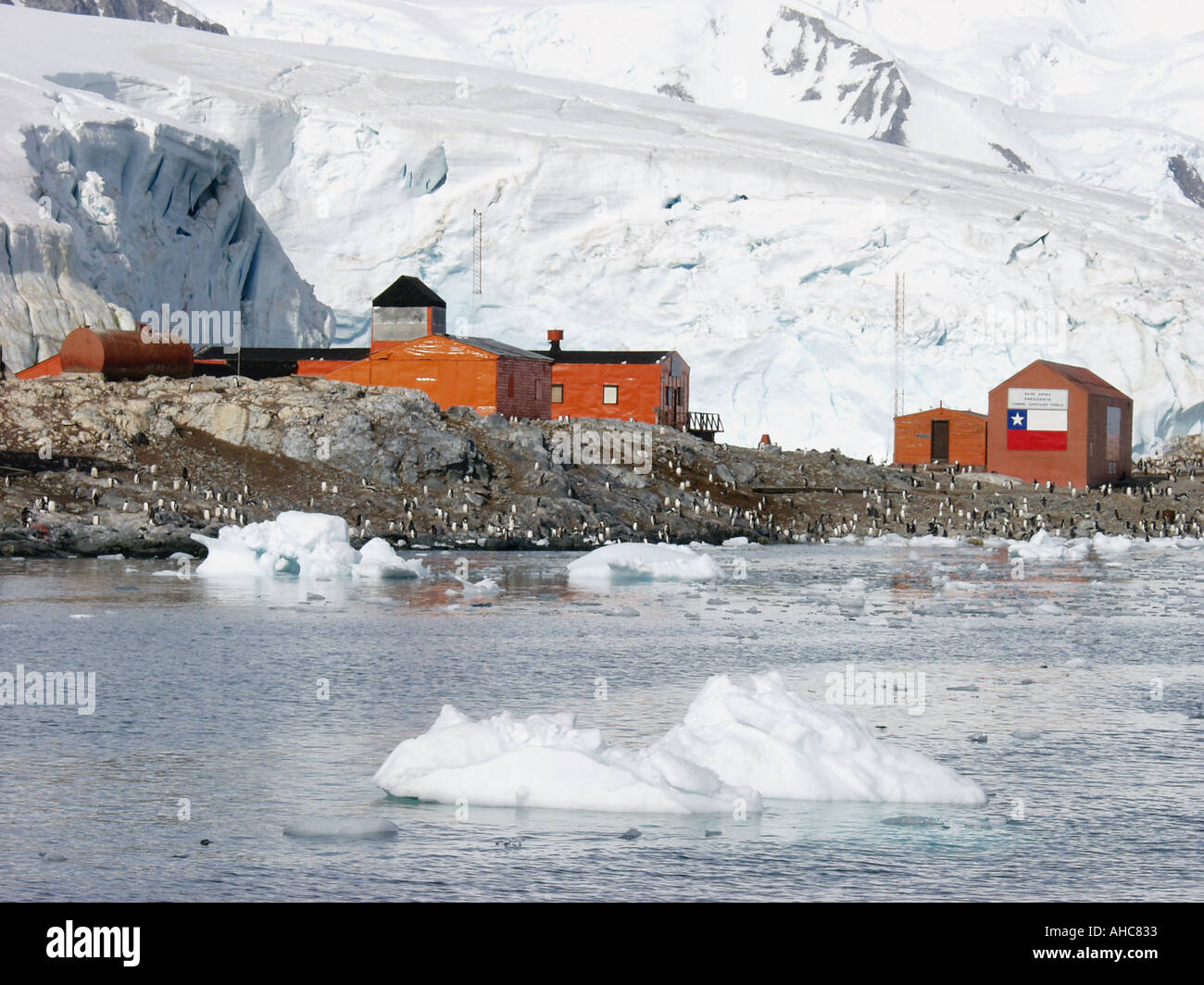 À la colonie de manchots Gonzalez Videla station sur Waterboat Point près de Paradise Harbour Antarctique base chilienne Banque D'Images