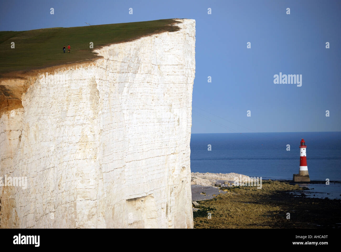 Beachy Head et phare, Beachy Head, East Sussex, Angleterre, Royaume-Uni Banque D'Images