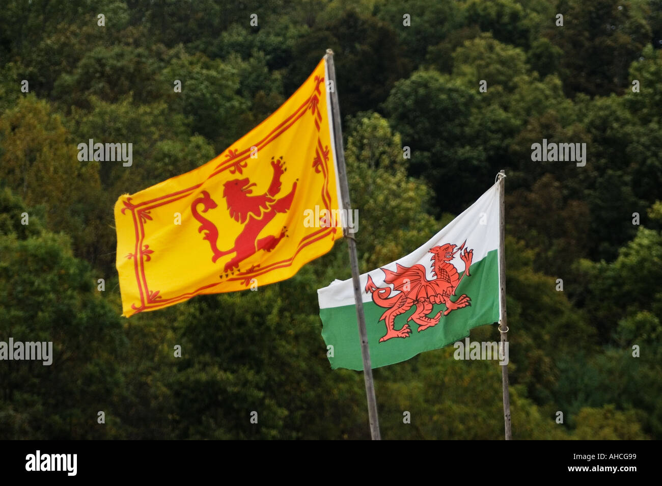 Drapeau royal de l'Ecosse le Dragon Rouge d'un drapeau du pays de Galles Banque D'Images